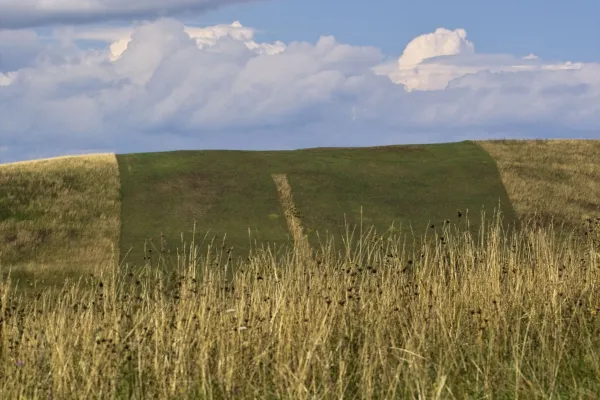 Immobilienentwicklung mit Weitblick
